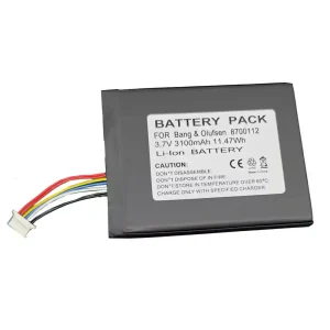 Skaļruņa baterija Bang & Olufsen BeoSound Moment,8700112